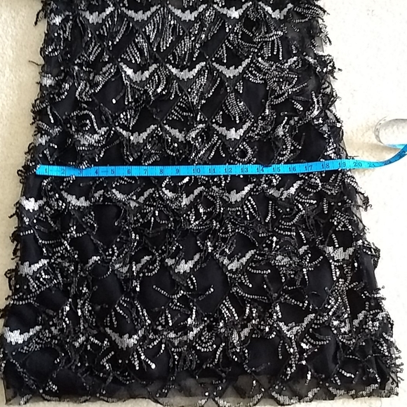 Zara Dress - Picture 14 of 15